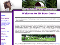 3M Boer Goats