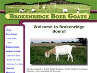 Brokenridge Boer Goats