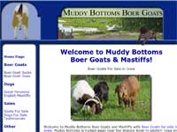 Muddy Bottoms Boer Goats