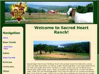 Sacred Heart Boer Goats