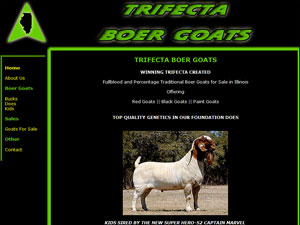 Trifecta Boer Goats