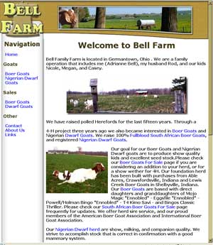 Boer Goats and Nigerian Dwarf Goats For Sale Ohio