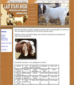 Boer Goats for Sale in Idaho
