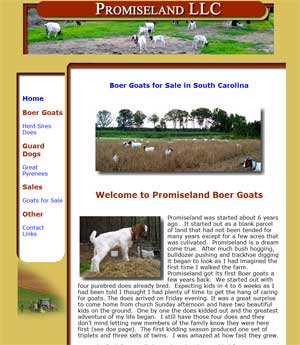 Boer Goats for sale South Carolina