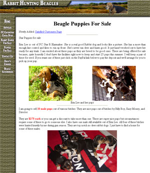 Rabbit Hunting Beagles for Sale South Carolina