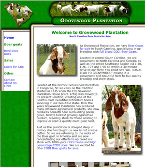 Boer Goats For Sale South Carolina