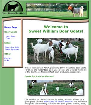 Boer Goats for Sale in Missouri